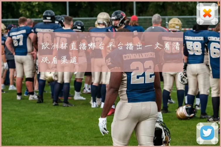 欧洲杯直播哪台平台播出一文看清观看渠道