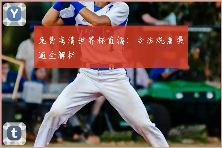 免费高清世界杯直播：合法观看渠道全解析