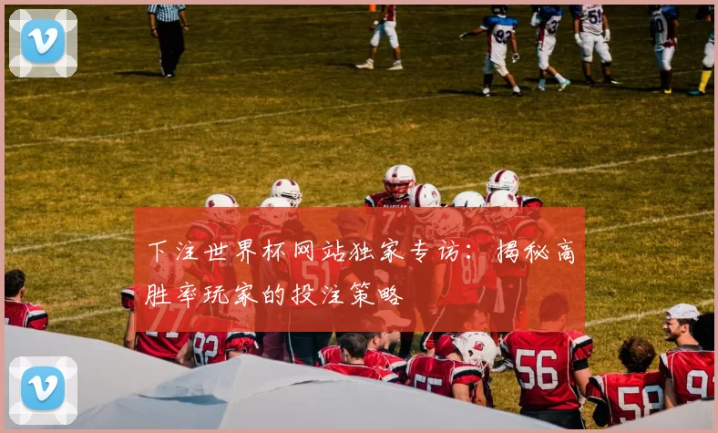 下注世界杯网站独家专访：揭秘高胜率玩家的投注策略