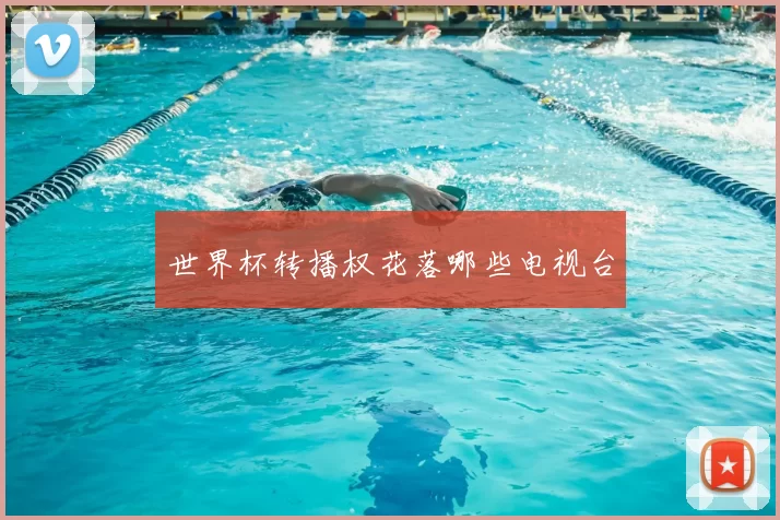 世界杯转播权花落哪些电视台