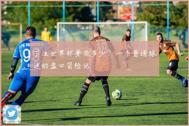 下注世界杯要花多少?一个普通球迷的盘口冒险记