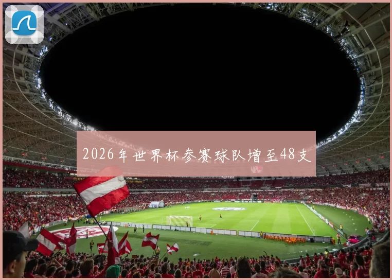 2026年世界杯参赛球队增至48支