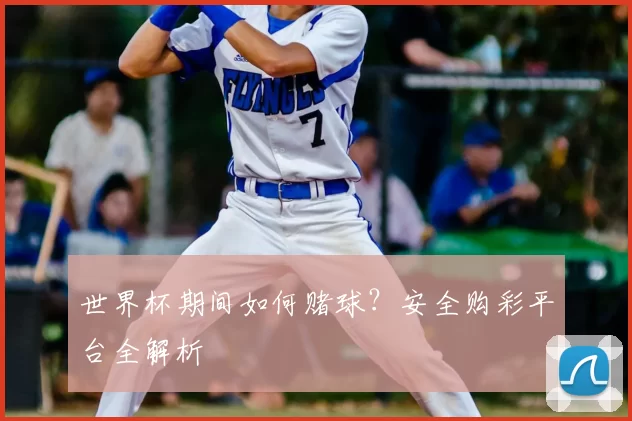 世界杯期间如何赌球?安全购彩平台全解析