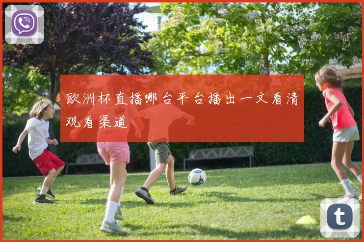 欧洲杯直播哪台平台播出一文看清观看渠道