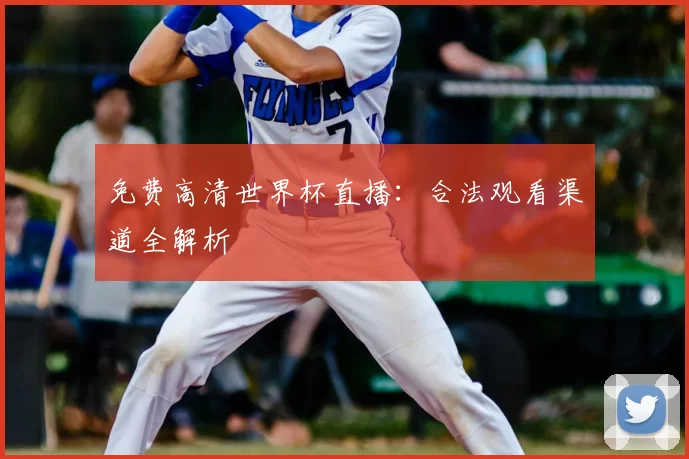 免费高清世界杯直播:合法观看渠道全解析