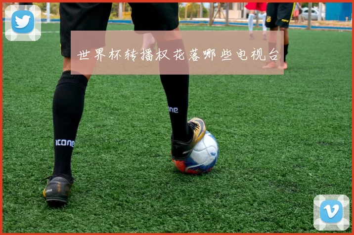世界杯转播权花落哪些电视台