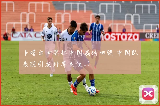 卡塔尔世界杯中国战绩回顾 中国队表现引发外界关注_1