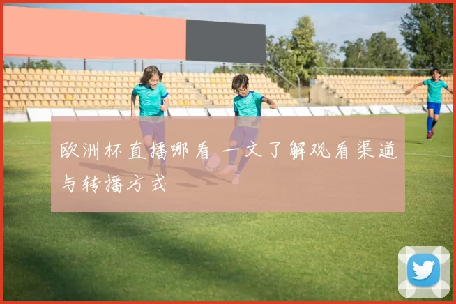 欧洲杯直播哪看 一文了解观看渠道与转播方式