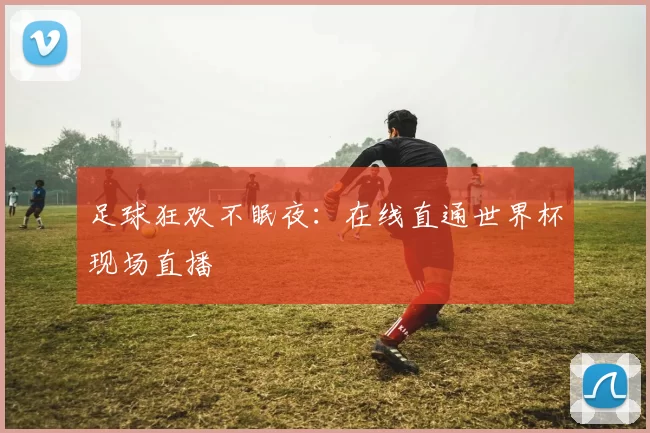 足球狂欢不眠夜:在线直通世界杯现场直播