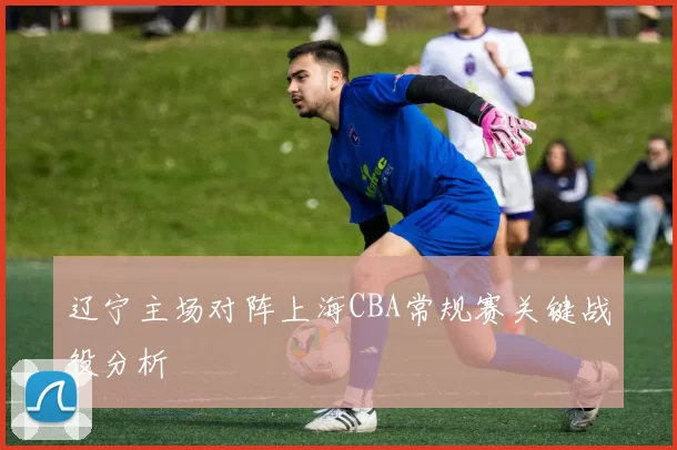 辽宁主场对阵上海CBA常规赛关键战役分析